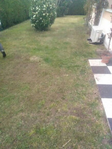 Photo de galerie - Paysagiste - Aménagement du jardin