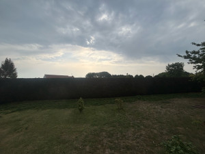 Photo de galerie - Taille de haies 