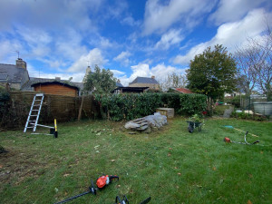 Photo de galerie - Taille de haies 