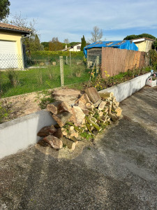 Photo de galerie - Abattage mimosa