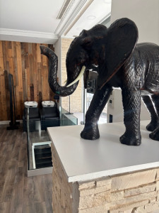 Photo de galerie - Dépoussiérage récurrent