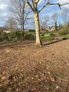 Photo de galerie - Plus joli 