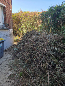 Photo de galerie - Enlèvement de déchets vert 