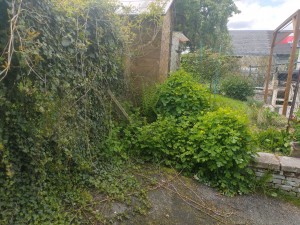 Photo de galerie - Tonte de pelouse - Débroussaillage