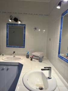 Photo de galerie - Salle de bain et pliage des serviettes