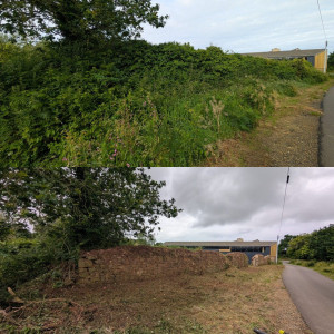 Photo de galerie - Jardinier