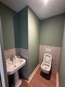 Photo de galerie - Peinture toilettes 