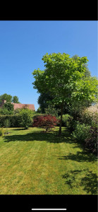 Photo de galerie - Taillage de haie entretien jardin 