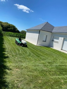 Photo de galerie - Tonte de pelouse - Débroussaillage