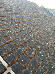 Photo de galerie - Demousage 