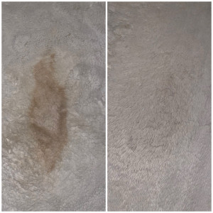 Photo de galerie - Nettoyage de tapis sans aucun produit 