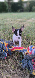 Photo de galerie - Atchoum