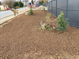 Photo de galerie - Créations de massif et remise à niveau pour engazonnement 