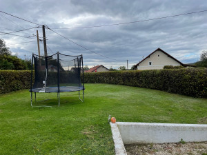 Photo de galerie - Taille ornementale d’une haie de Charmille 