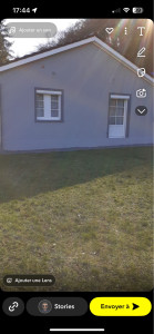 Photo de galerie - Crépis taloche 