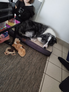 Photo de galerie - Garde de Spark's 