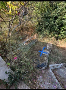 Photo de galerie - Paysagiste - Aménagement du jardin