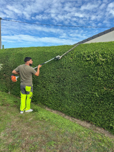 Photo de galerie - Taille de haies et d'arbustes