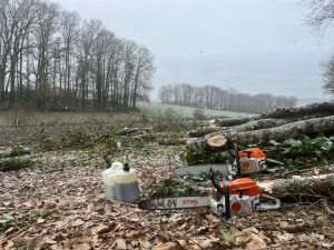 Photo de galerie - Bois / Bois de chauffage / Bastaing