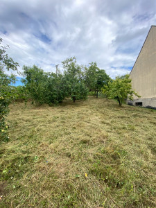 Photo de galerie - Tonte de pelouse - Débroussaillage