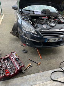 Photo de galerie - Distribution 