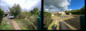 Photo de galerie - Chantier d’abattage taille de haie coupe d’arbuste débroussaillage et arrachage de buisson de ronce.
