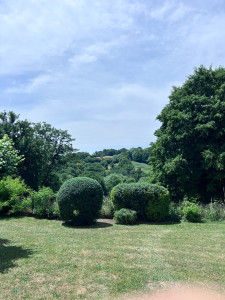 Photo de galerie - Taille arbustive 