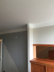 Photo de galerie - Plâtrerie - Murs - Plafonds