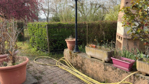 Photo de galerie - Taillage de haie