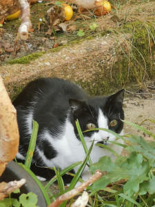 Photo de galerie - Garde de Murphy