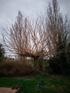 Photo de galerie - Avant intervention 
