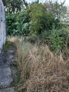 Photo de galerie - Avant 
