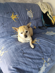 Photo de galerie - Ma petite chips veux bien un petit ou petite copine