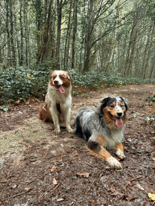 Photo de galerie - Balade entre copains