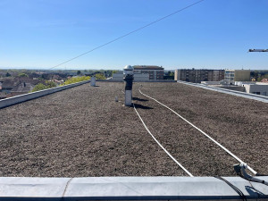 Photo de galerie - Nettoyage de toiture 