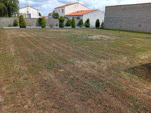 Photo de galerie - Tonte de jardin au tracteur tondeuse  