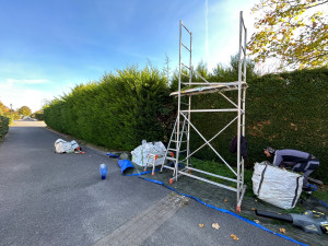 Photo de galerie - élagage 