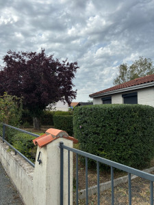 Photo de galerie - Taille de haies et d'arbustes
