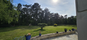 Photo de galerie - GregAll Services vous propose également un entretien courant de vos espaces vert 

sur cette entretien la taille d’un Olivier ainsi que divers buisson ont été taille minutieusement, avec la tonte de 3000m² 
