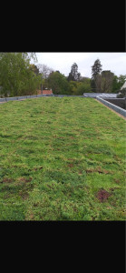 Photo de galerie - Couverture - Toiture