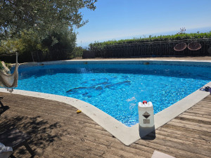 Photo de galerie - Entretien piscine 