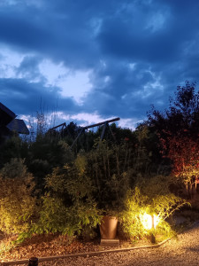 Photo de galerie - Aménagement jardin