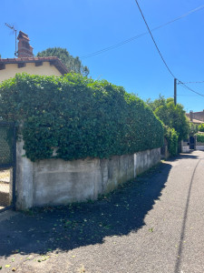 Photo de galerie - Taille d’une haie 