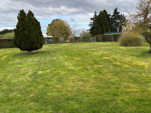 Photo de galerie - Tonte