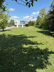 Photo de galerie - Tonte 