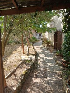 Photo de galerie - Désherbage, débroussaillage 