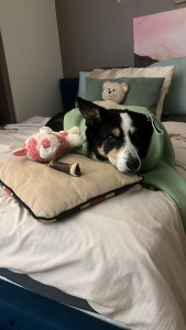 Photo de galerie - Blue petit Blue