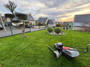 Photo de galerie - Tonte de pelouse - Débroussaillage