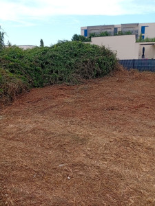 Photo de galerie - Débroussaillage d’un TRES gros ronces et vigne 