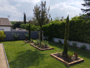 Photo de galerie - Aménagement du jardin avec des massifs autour d'arbres isolés 